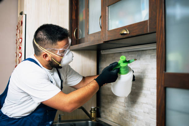 Best Bed Bug Extermination  in Nashville, GA