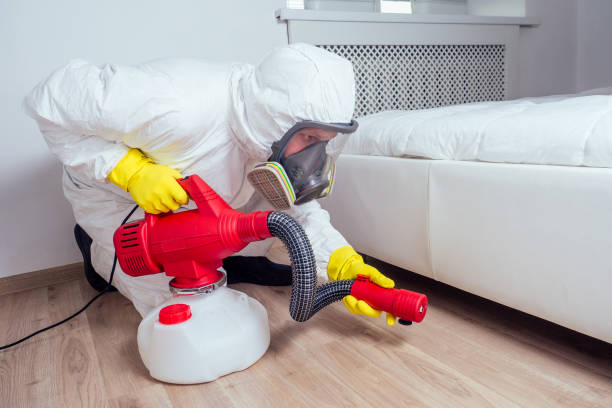 Best Affordable Pest Control Services  in Nashville, GA