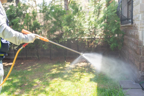 Wasp Removal Services in Nashville, GA