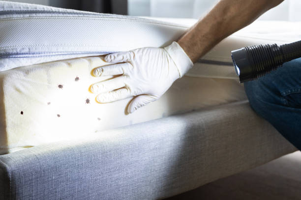 Nashville, GA Pest Control Company