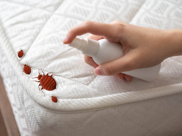 Best Pest Prevention Services  in Nashville, GA
