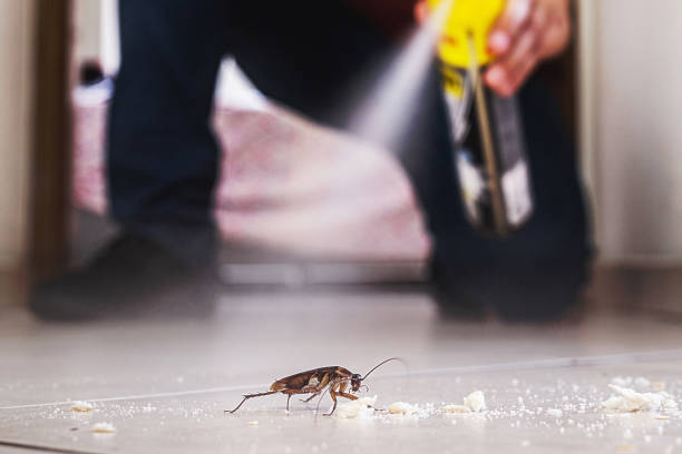 Best Termite Control Services  in Nashville, GA