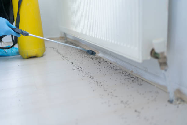 Best Affordable Pest Control Services  in Nashville, GA