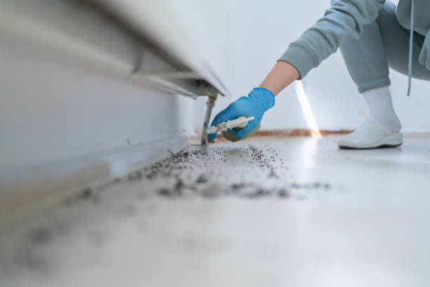 Best Insect Control  in Nashville, GA