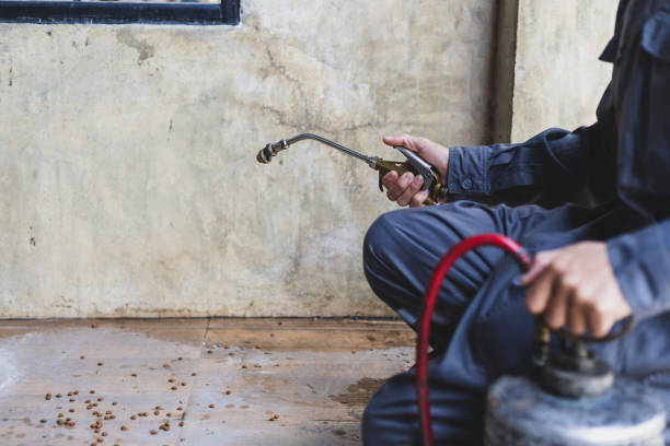 Best Mosquito Control Services  in Nashville, GA