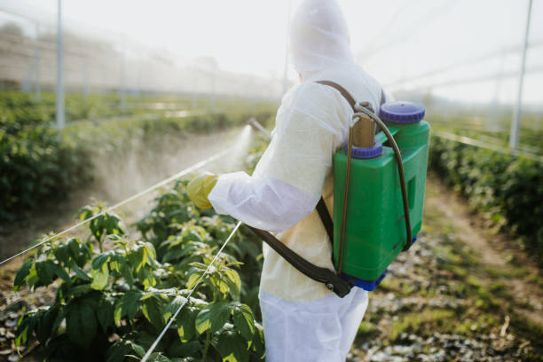Best Emergency Pest Control  in Nashville, GA
